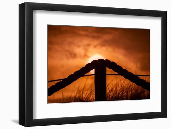 Netherlands, Holland, on the West Frisian Island of Texel, Province of North Holland-Beate Margraf-Framed Photographic Print