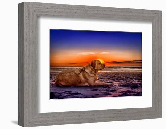 Netherlands, Holland, Province of North Holland-Beate Margraf-Framed Photographic Print