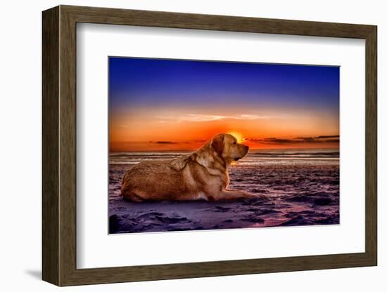 Netherlands, Holland, Province of North Holland-Beate Margraf-Framed Photographic Print