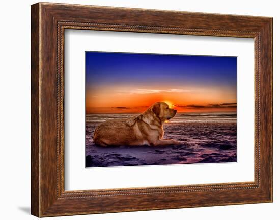 Netherlands, Holland, Province of North Holland-Beate Margraf-Framed Photographic Print