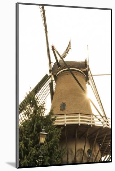 Netherlands, Holland-Emily Wilson-Mounted Photographic Print