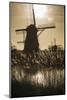 Netherlands, Kinderdijk. Traditional Dutch windmills-Walter Bibikow-Mounted Photographic Print