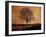 Netherlands, Kinderdijk. Tree along canal at Kinderdijk.-Julie Eggers-Framed Photographic Print