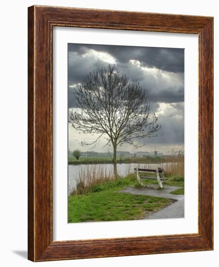 Netherlands, Kinderdijk. Tree along canal at Kinderdijk.-Julie Eggers-Framed Photographic Print