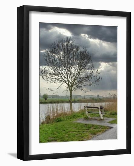 Netherlands, Kinderdijk. Tree along canal at Kinderdijk.-Julie Eggers-Framed Photographic Print