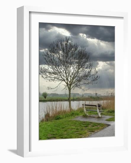 Netherlands, Kinderdijk. Tree along canal at Kinderdijk.-Julie Eggers-Framed Photographic Print