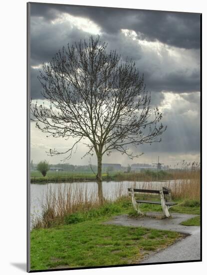 Netherlands, Kinderdijk. Tree along canal at Kinderdijk.-Julie Eggers-Mounted Photographic Print