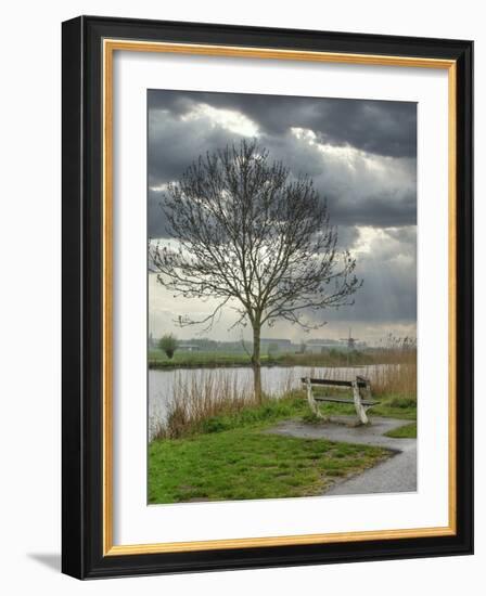 Netherlands, Kinderdijk. Tree along canal at Kinderdijk.-Julie Eggers-Framed Photographic Print