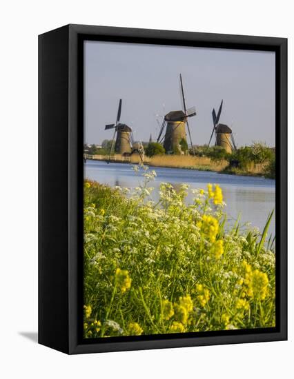 Netherlands, Kinderdijk, Windmills with evening light along the canals-Terry Eggers-Framed Premier Image Canvas