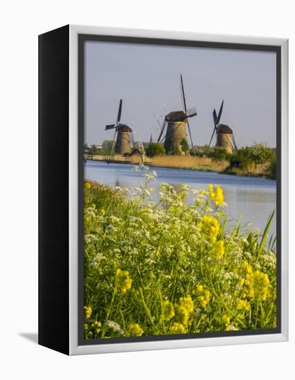 Netherlands, Kinderdijk, Windmills with evening light along the canals-Terry Eggers-Framed Premier Image Canvas