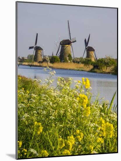 Netherlands, Kinderdijk, Windmills with evening light along the canals-Terry Eggers-Mounted Photographic Print