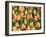 Netherlands, Lisse. Closeup of a group of yellow and orange colored tulips.-Julie Eggers-Framed Photographic Print