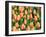 Netherlands, Lisse. Closeup of a group of yellow and orange colored tulips.-Julie Eggers-Framed Photographic Print