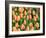 Netherlands, Lisse. Closeup of a group of yellow and orange colored tulips.-Julie Eggers-Framed Photographic Print