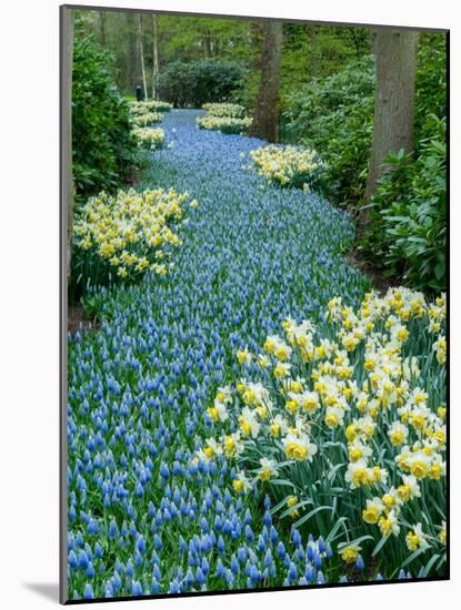Netherlands, Lisse. Flower displays at Keukenhof Gardens.-Julie Eggers-Mounted Photographic Print