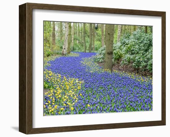 Netherlands, Lisse. Flower displays at Keukenhof Gardens.-Julie Eggers-Framed Photographic Print