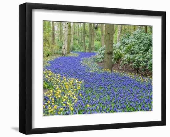 Netherlands, Lisse. Flower displays at Keukenhof Gardens.-Julie Eggers-Framed Photographic Print