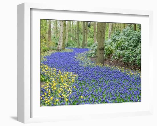 Netherlands, Lisse. Flower displays at Keukenhof Gardens.-Julie Eggers-Framed Photographic Print