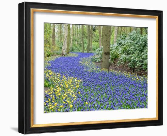 Netherlands, Lisse. Flower displays at Keukenhof Gardens.-Julie Eggers-Framed Photographic Print