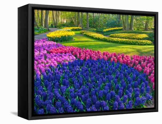 Netherlands, Lisse. Flower displays at Keukenhof Gardens.-Julie Eggers-Framed Premier Image Canvas