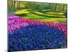 Netherlands, Lisse. Flower displays at Keukenhof Gardens.-Julie Eggers-Mounted Photographic Print