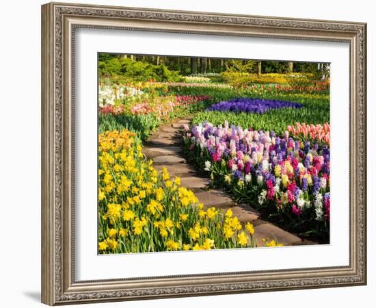 Netherlands, Lisse. Flower displays at Keukenhof Gardens.-Julie Eggers-Framed Photographic Print