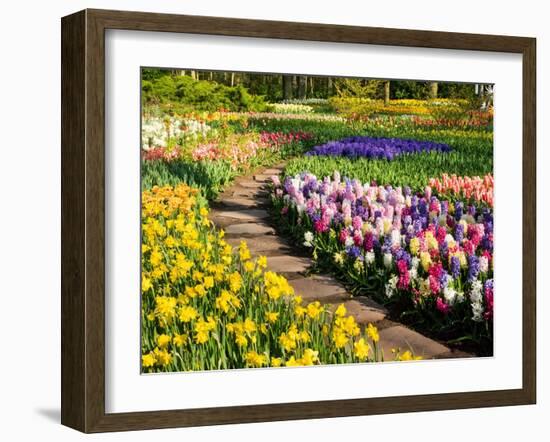 Netherlands, Lisse. Flower displays at Keukenhof Gardens.-Julie Eggers-Framed Photographic Print