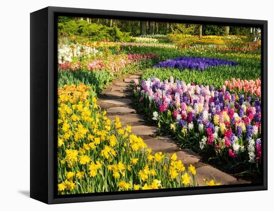 Netherlands, Lisse. Flower displays at Keukenhof Gardens.-Julie Eggers-Framed Premier Image Canvas