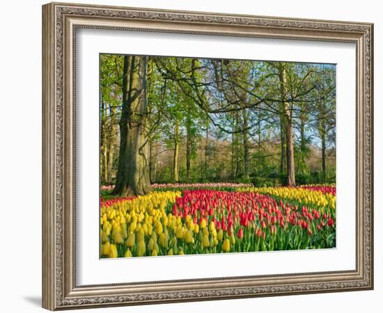 Netherlands, Lisse. Flower displays at Keukenhof Gardens.-Julie Eggers-Framed Photographic Print