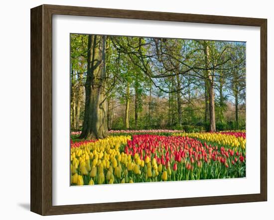 Netherlands, Lisse. Flower displays at Keukenhof Gardens.-Julie Eggers-Framed Photographic Print