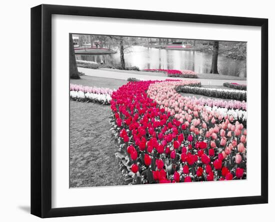 Netherlands, Lisse. Multicolored flowers blooming in spring.-Terry Eggers-Framed Photographic Print