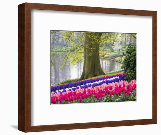 Netherlands, Lisse. Multicolored flowers blooming in spring.-Terry Eggers-Framed Photographic Print