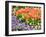 Netherlands, Lisse. Multicolored flowers in spring.-Terry Eggers-Framed Photographic Print