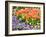 Netherlands, Lisse. Multicolored flowers in spring.-Terry Eggers-Framed Photographic Print