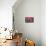 Netherlands, Lisse, Pretty in Pink-Hollice Looney-Photographic Print displayed on a wall