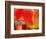 Netherlands, Macro of Colorful Tulip-Terry Eggers-Framed Photographic Print