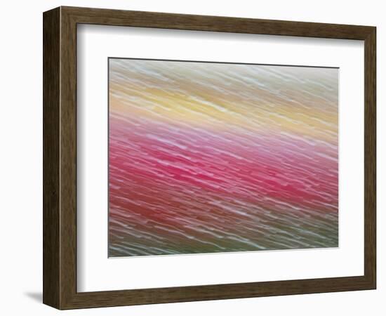 Netherlands, Nord Holland, Tulips and Rain Drops in Patterns-Terry Eggers-Framed Photographic Print