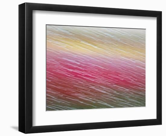 Netherlands, Nord Holland, Tulips and Rain Drops in Patterns-Terry Eggers-Framed Photographic Print