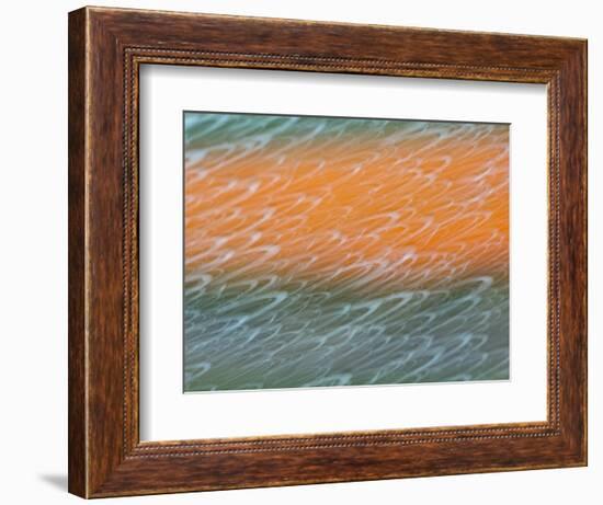 Netherlands, Nord Holland, Tulips and Rain Drops in Patterns-Terry Eggers-Framed Photographic Print