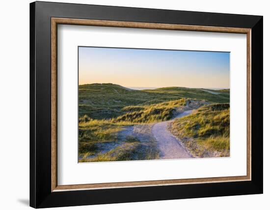 Netherlands, North Holland, Julianadorp. Walking path through the dunes at sunset.-Jason Langley-Framed Photographic Print