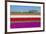 Netherlands, North Holland, Venhuizen. Colorful tulip fields in early spring.-Jason Langley-Framed Photographic Print