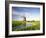 Netherlands, Polder Landscape, Alkmaar, Canal, Windmill-Thonig-Framed Photographic Print