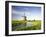 Netherlands, Polder Landscape, Alkmaar, Canal, Windmill-Thonig-Framed Photographic Print