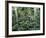 Netherlands, Polder Landscape, Tulip Field, Windmill-Thonig-Framed Photographic Print