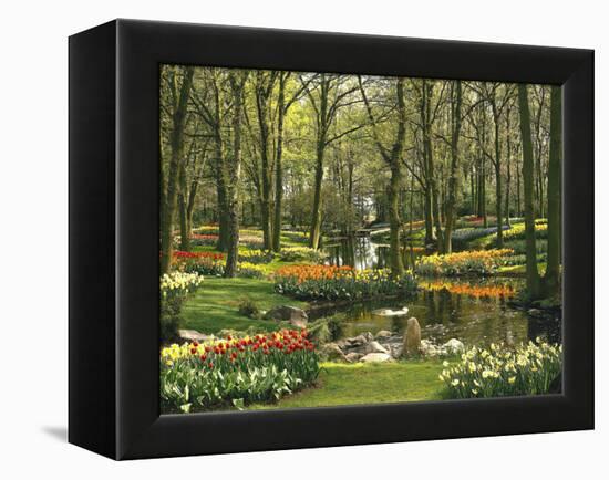 Netherlands, South Holland, Keukenhof, Flower Park, Spring-Thonig-Framed Premier Image Canvas