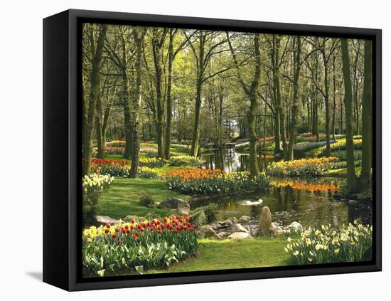 Netherlands, South Holland, Keukenhof, Flower Park, Spring-Thonig-Framed Premier Image Canvas