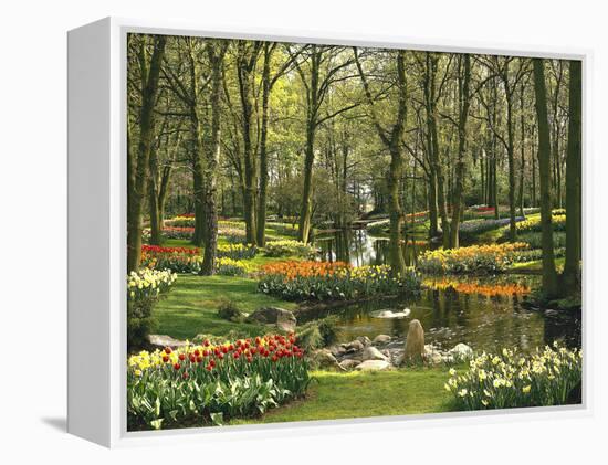 Netherlands, South Holland, Keukenhof, Flower Park, Spring-Thonig-Framed Premier Image Canvas