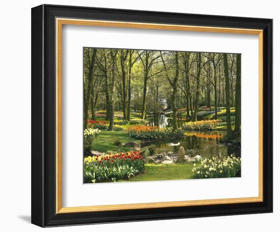 Netherlands, South Holland, Keukenhof, Flower Park, Spring-Thonig-Framed Photographic Print