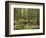 Netherlands, South Holland, Keukenhof, Flower Park, Spring-Thonig-Framed Photographic Print