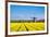 Netherlands, South Holland, Nordwijkerhout. Yellow Dutch tulip filed, tulips in front of a windmill-Jason Langley-Framed Photographic Print